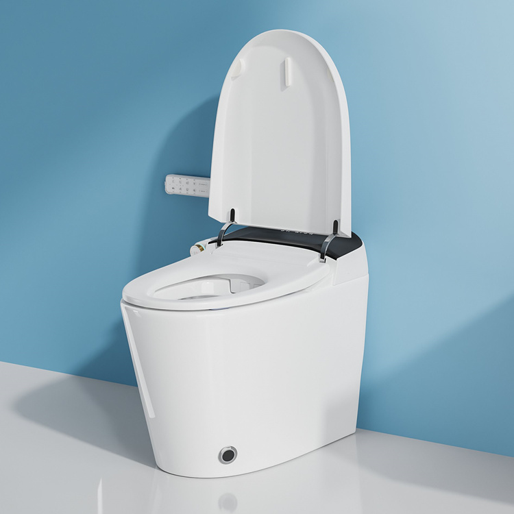 Ev Dekorasyonu Banyo Akıllı El - Electronics For Home incelemesi ve fiyatı